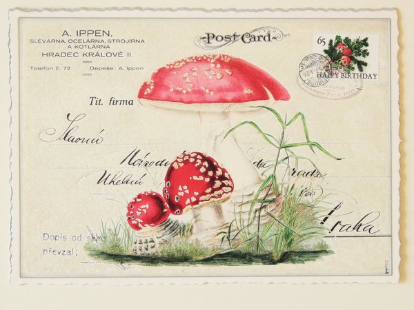 Nostalgie Postkarte Glitterpostkarte  Fliegenpilz Pilz