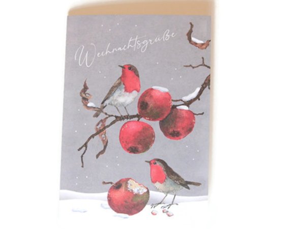 Weihnachtskarte Rothkehlchen auf Apfelbaum Weihnachtsgrüße  Naturliebe